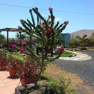 casa-rural-soleario.in-canary-islands.com/